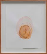seed vi by Yasam Sasmazer contemporary artwork painting works on paper