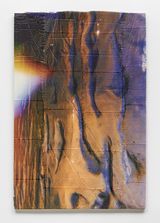 Natural History by Hugh Scott-Douglas contemporary artwork painting
