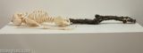 Untitled by Xu Zhen contemporary artwork mixed media