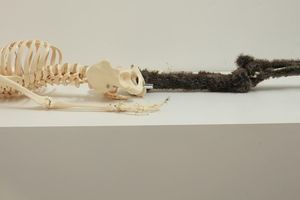 Xu Zhen