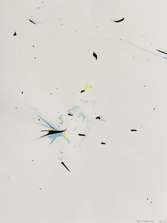Traces 523112.3N 132329.2E by Isaac Chong Wai contemporary artwork Works on Paper