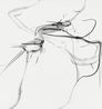 Weekend Walks in the Forest No.1 by Xiyao Wang contemporary artwork Drawing