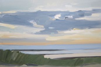 Maureen Gallace contemporary artist