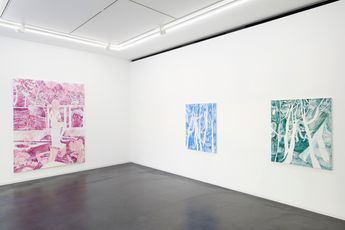 Contemporary art exhibition Kyoko Murase park at Taka Ishii Gallery Complex665 Tokyo Japan