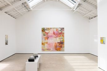Contemporary art exhibition Victoria Morton Hitting the Lift at The Modern Institute Osborne Street United Kingdom