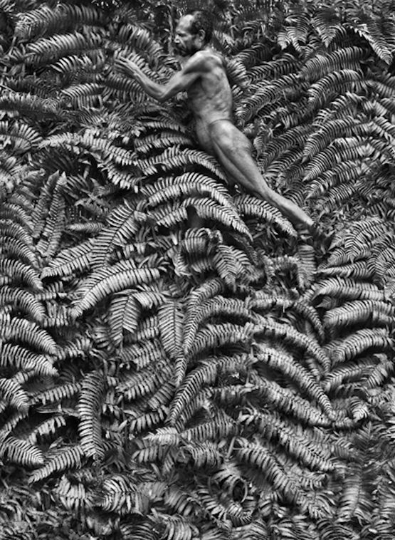 Yali man. West Papua. Indonesia. by Sebastiao Salgado contemporary artwork Photography