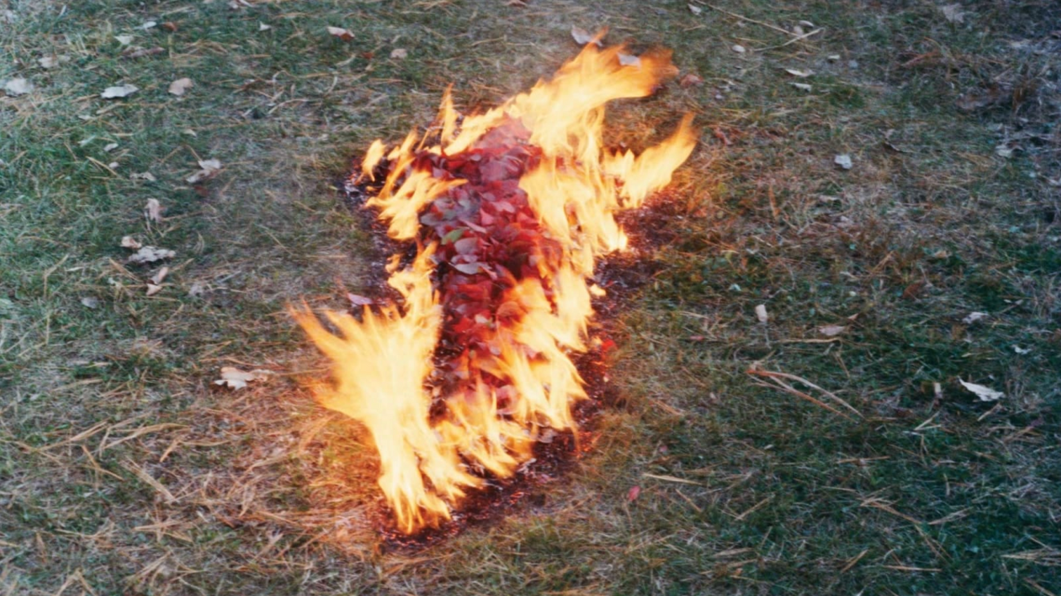 Ana Mendieta
