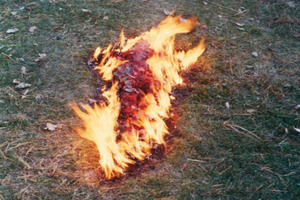 Ana Mendieta