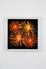 Shell Shock I by Ivan Navarro contemporary artwork painting sculpture