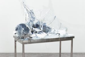Haneyl Choi