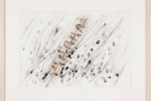 Giuseppe Penone