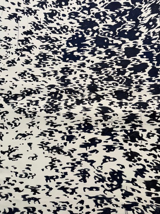 Rainbow Trout by Saif Azzuz contemporary artwork Painting