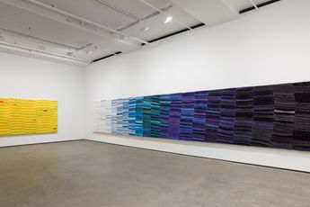 Contemporary art exhibition Anthony Olubunmi Akinbola Camouflage at Sean Kelly New York United States