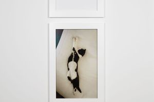 Sophie Calle