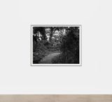 Untitled Curve in the Trail by Dawoud Bey contemporary artwork photography