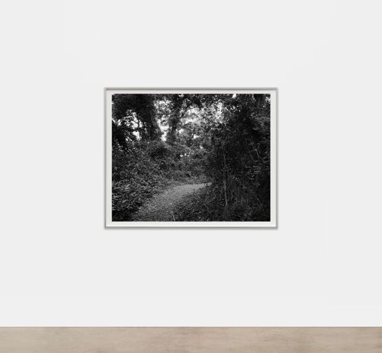 Untitled Curve in the Trail by Dawoud Bey contemporary artwork Photography