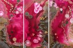 Trishla Jain contemporary artist
