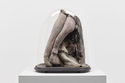White Cube Names Artists in Inaugural Seoul Exhibition