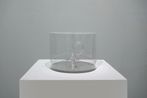 Klein Riddles Quickbrown Foxtrot by Dr. Susie Lingham contemporary artwork Sculpture