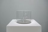 Klein Riddles Quickbrown Foxtrot by Dr. Susie Lingham contemporary artwork sculpture