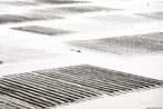 Fujian 13 - Planes Coastal Geometries China by Tugo Cheng contemporary artwork Photography