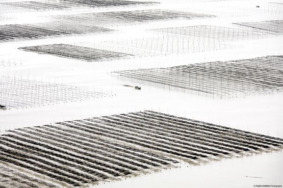 Fujian 13 - Planes Coastal Geometries China by Tugo Cheng contemporary artwork Photography
