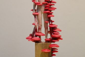 Dongwook Lee contemporary artist