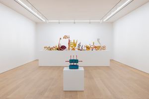 Matthew Ronay