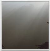 Untitled Woodland IV by Daniel Gustav Cramer contemporary artwork photography