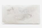 Liza Lacroix contemporary artist