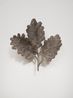 Oak Leaves IV by Kiki Smith contemporary artwork Sculpture