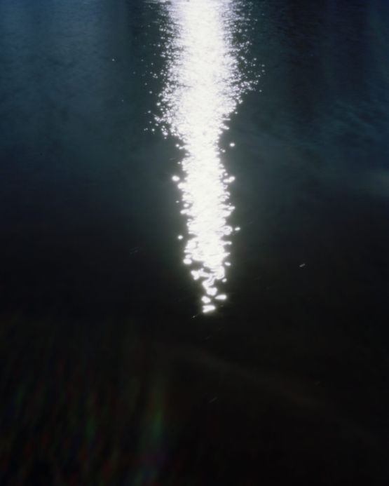 Lake Kaniere 2020  Described by Lewis Smith by Conor Clarke contemporary artwork Photography