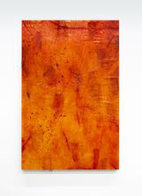 Large Chinook Secret by Sonya Kelliher-Combs contemporary artwork mixed media sculpture textile works on paper