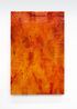 Large Chinook Secret by Sonya Kelliher-Combs contemporary artwork Works on Paper