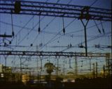 What are you by Tejal Shah contemporary artwork moving image