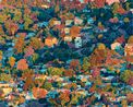 Braintree by Seth Armstrong contemporary artwork Painting