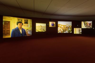Isaac Juliens Ode to Frederick Douglass Shows at MoMA