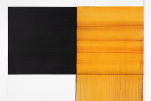 Callum Innes