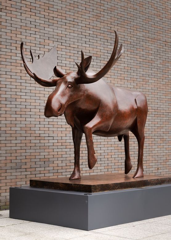 Canadian Moose  by Daniel Daviau contemporary artwork Sculpture