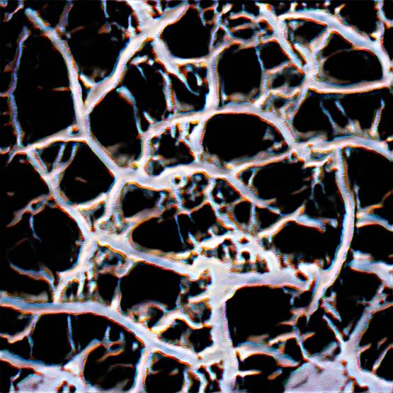 Amplified Technical Image 1 by Casey Reas contemporary artwork Print