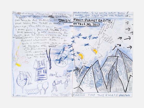 Save the Birds and Leg by Rose Wylie contemporary artwork Works on Paper