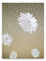 Paperstars by Thomas Demand contemporary artwork print