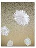 Paperstars by Thomas Demand contemporary artwork Print