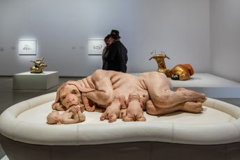 Patricia Piccinini contemporary artist