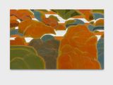 Aterragem El Arribo by Tania Ximena contemporary artwork painting