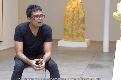 JITISH KALLAT Covariance Galerie Templon