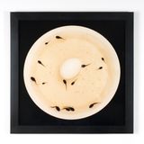 Artificial Insemination I by Nina Katchadourian contemporary artwork photography