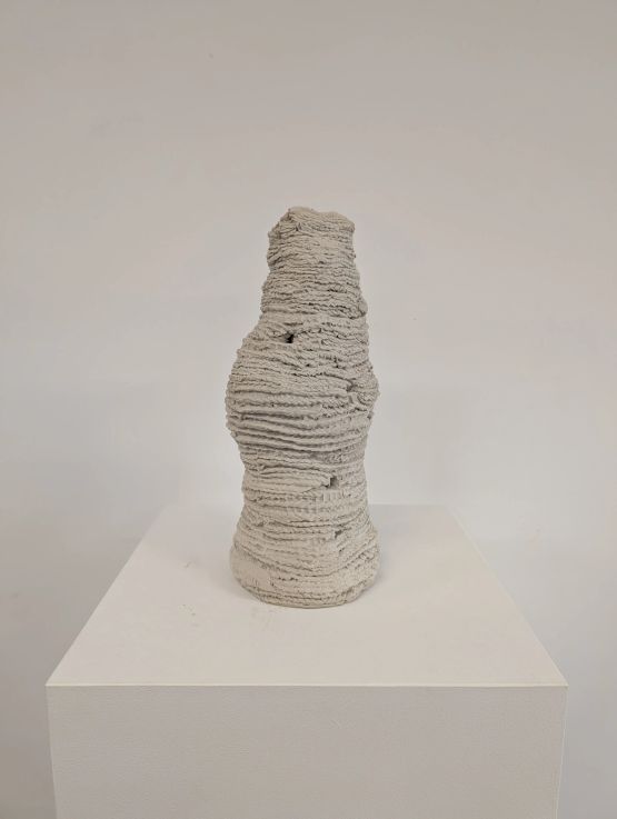 Untitled from the series Cupinzeiros by Lidia Lisboa contemporary artwork Sculpture