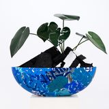 Cracked Street Plant 403 by Takuro Tamura contemporary artwork sculpture