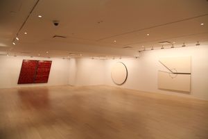 Bernar Venet